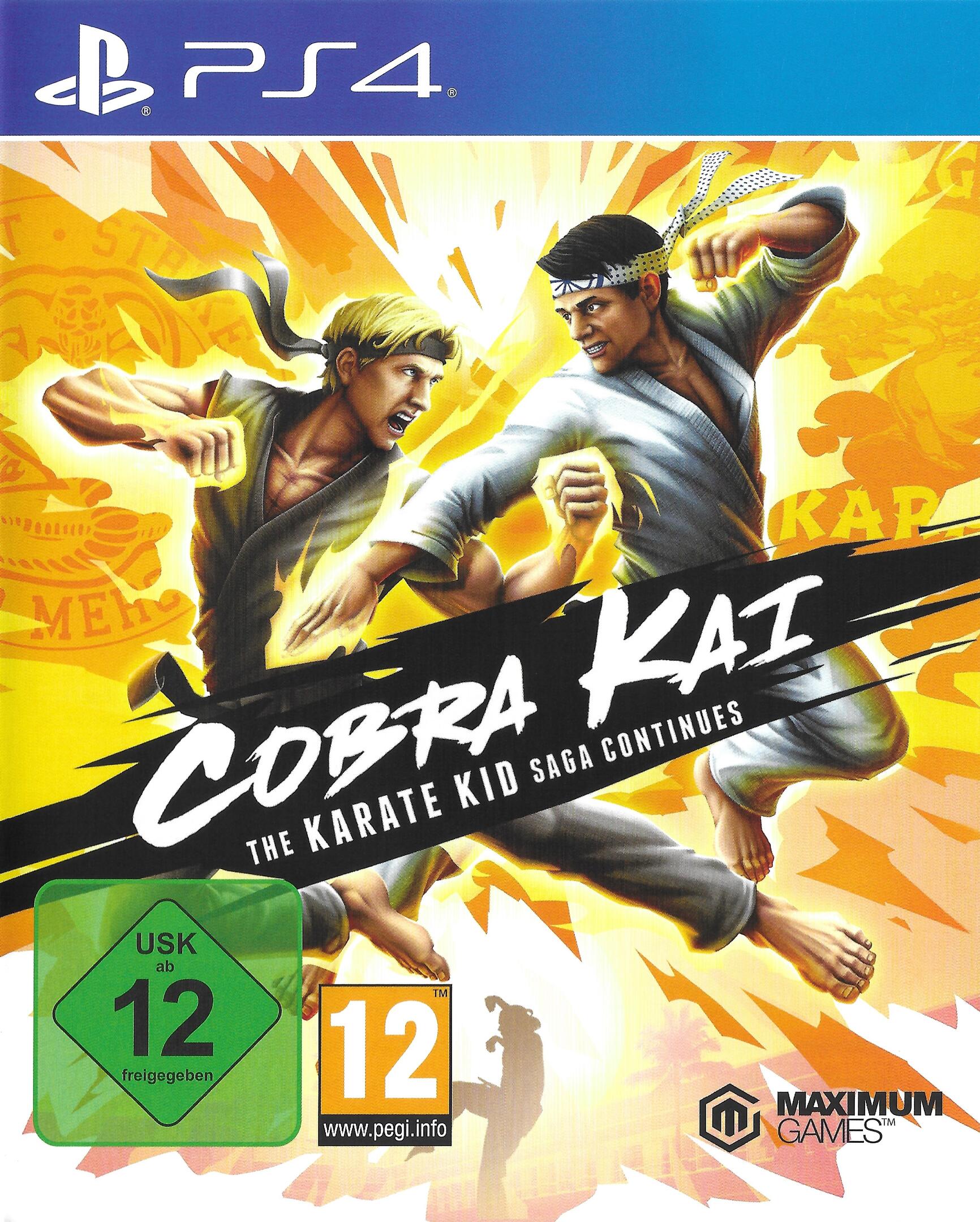 Cobra Kai: The Karate Kid Saga Continues