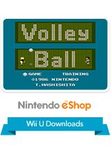 Volleyball