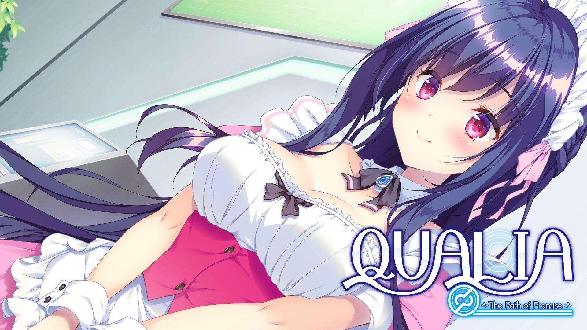 Qualia: The Path of Promise