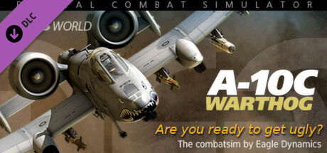 DCS: A-10C Warthog