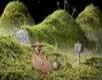 Samorost