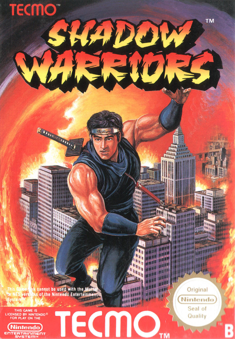 Ninja Gaiden