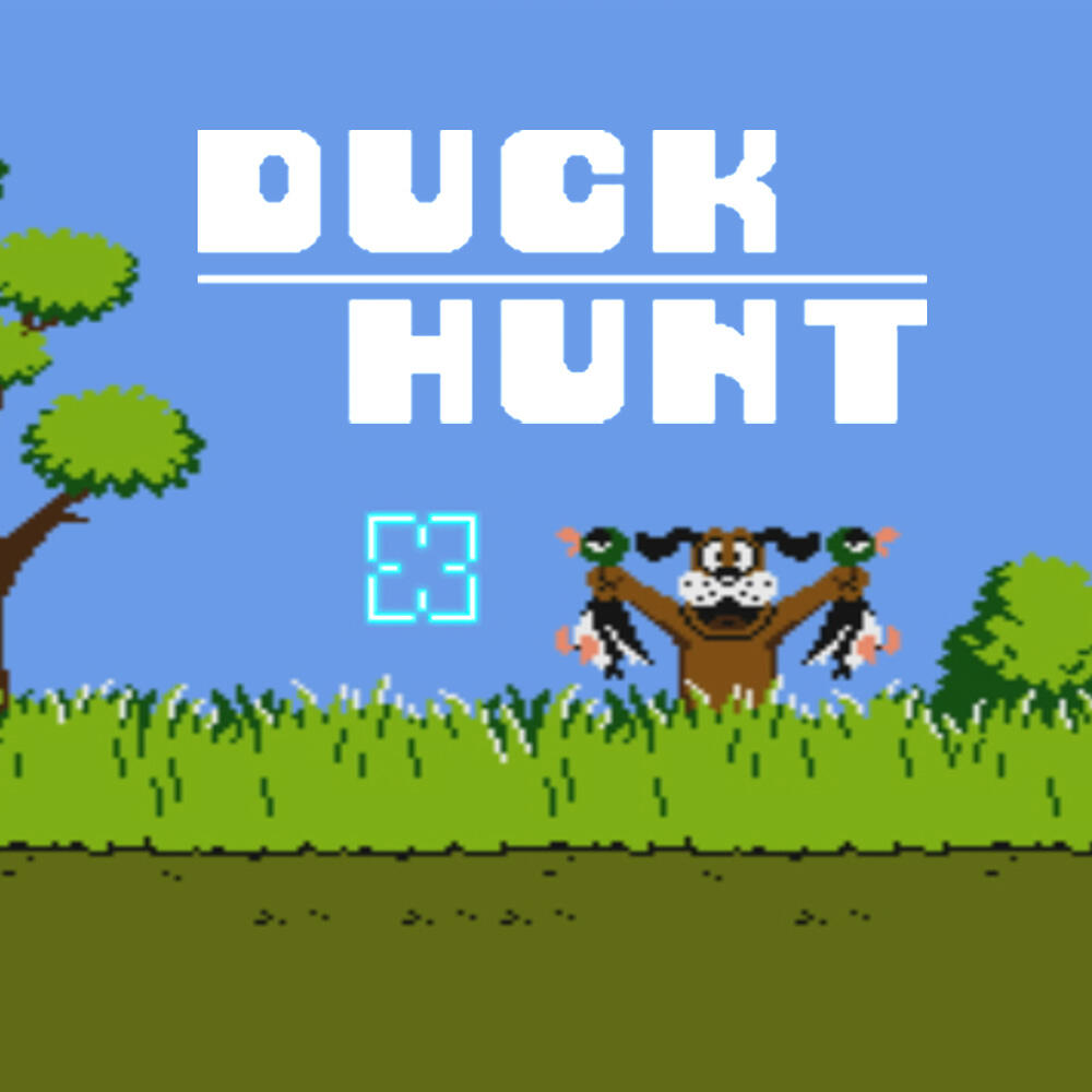 VS. Duck Hunt