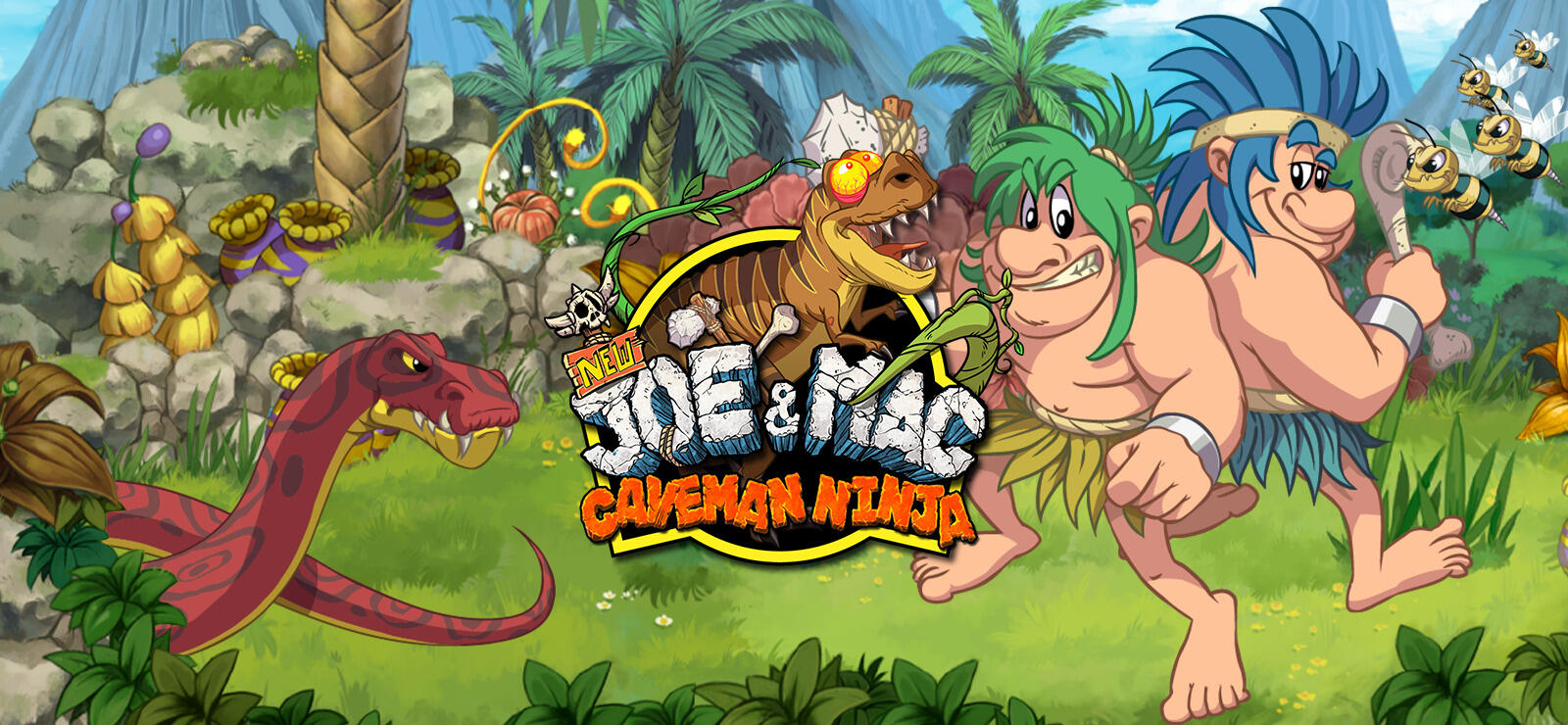 New Joe & Mac: Caveman Ninja