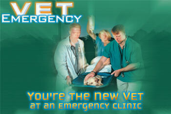 Vet Emergency