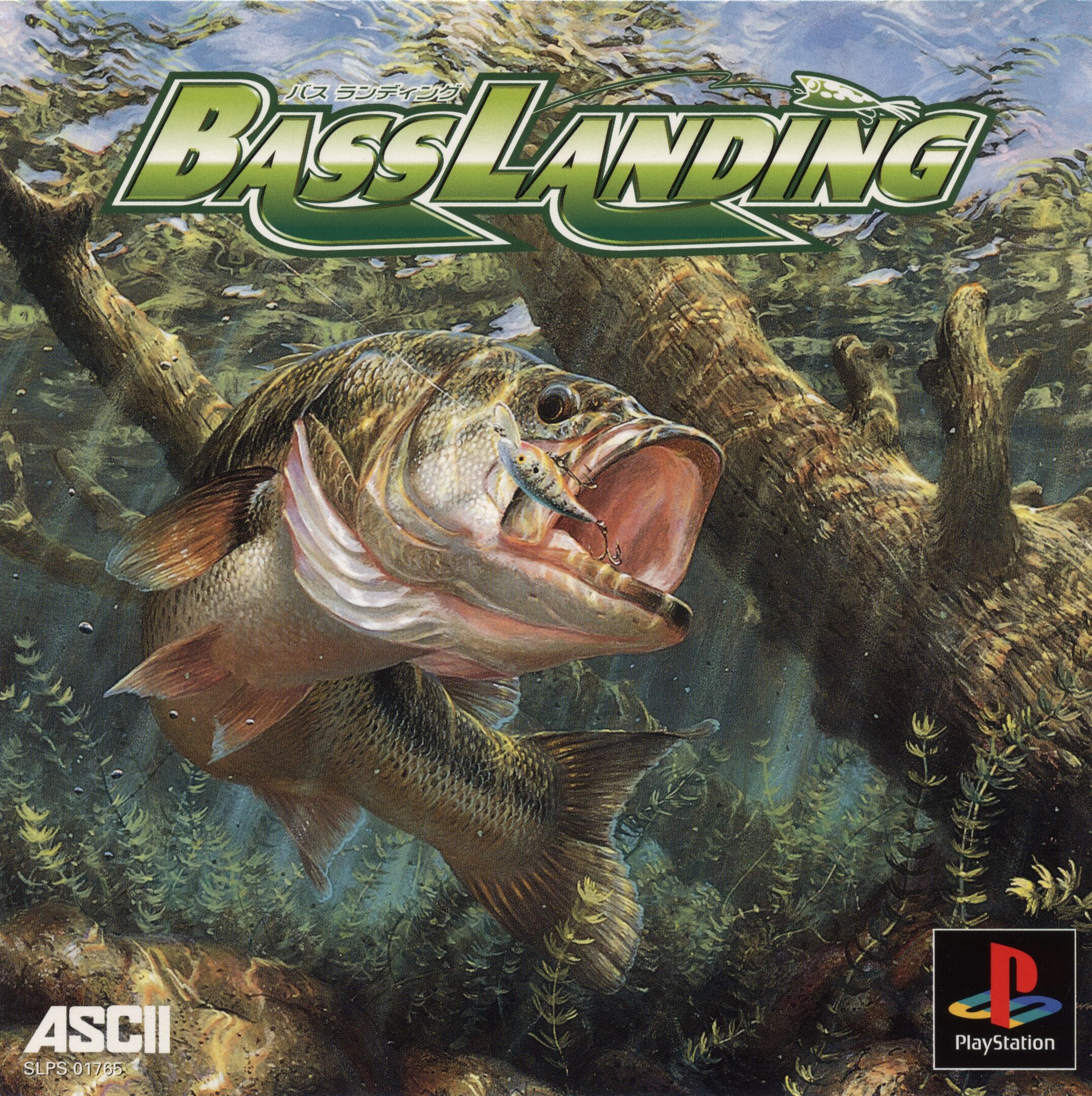 Bass Landing