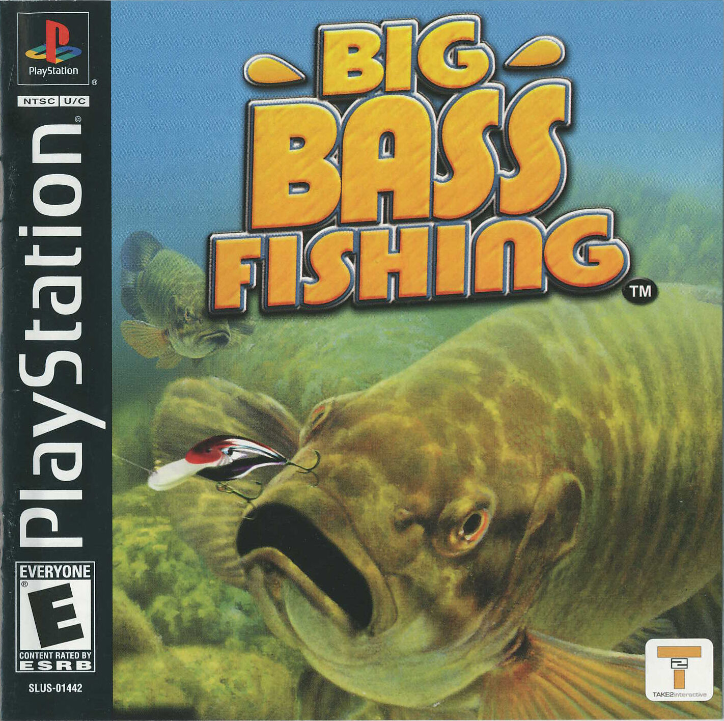 Big Bass Fishing